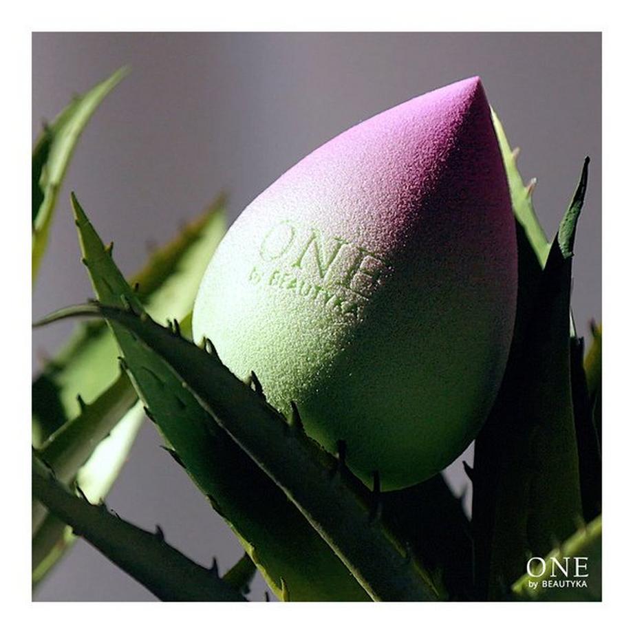 BEAUTYKA  Eponge de Maquillage avec Aloe Vera 