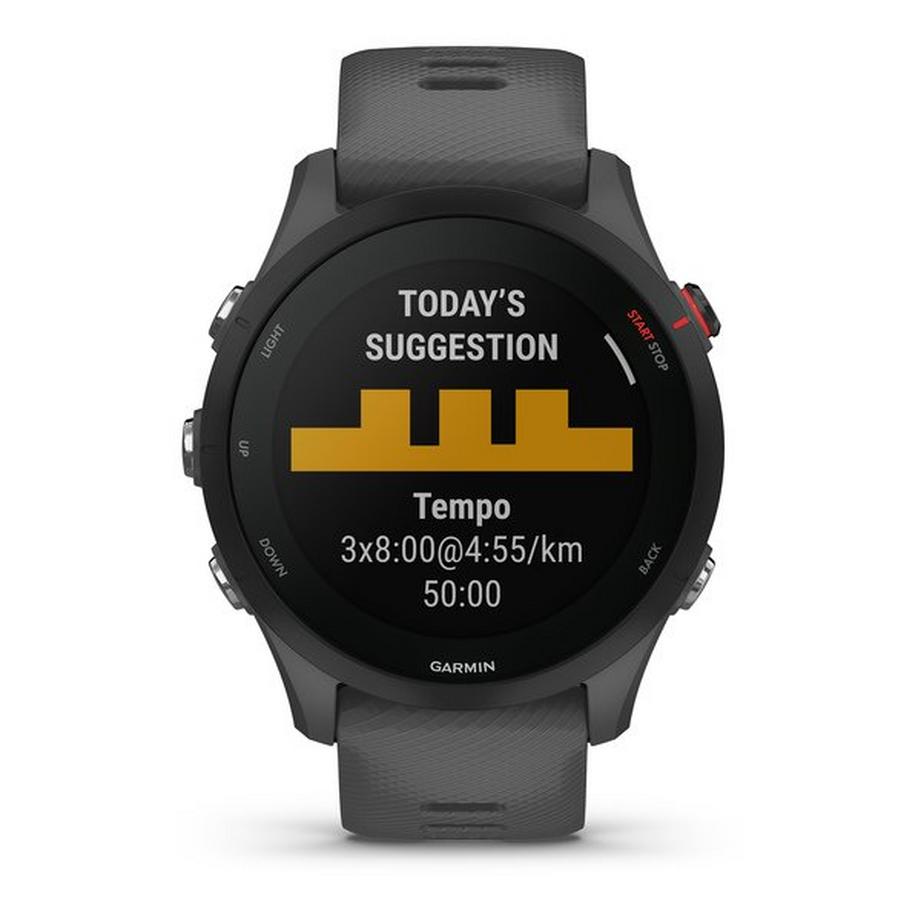 GARMIN Forerunner 255, Schiefergrau/schwarz Smartwatch Display 