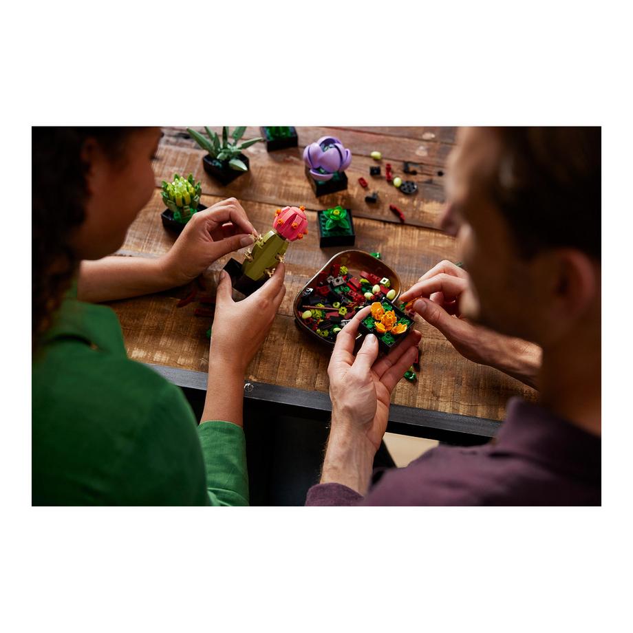 LEGO®  10309 Piante grasse 