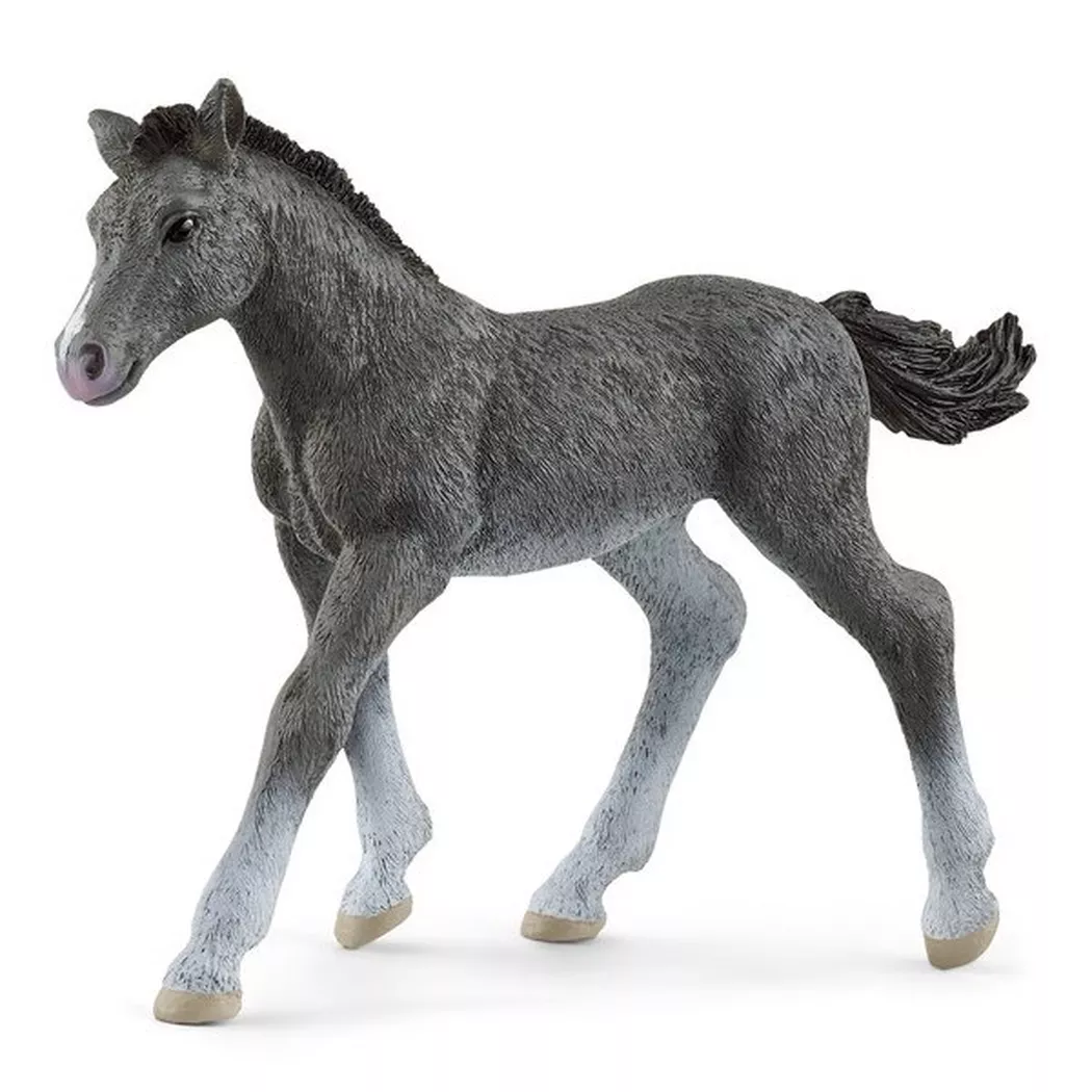 Schleich - 13944 Trakehner Fohlen, Multicolor