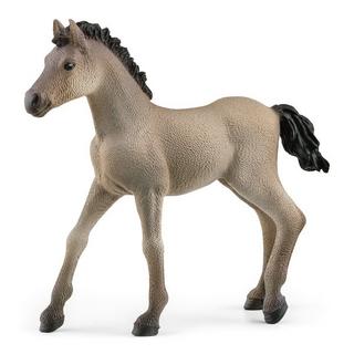 Schleich  13949 Criollo Definitivo Fohlen 