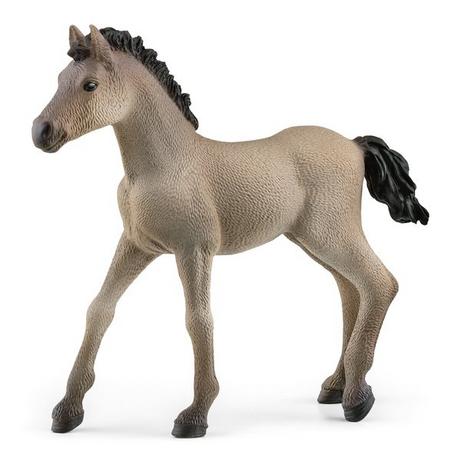 Schleich  13949 Criollo Definitivo Fohlen 