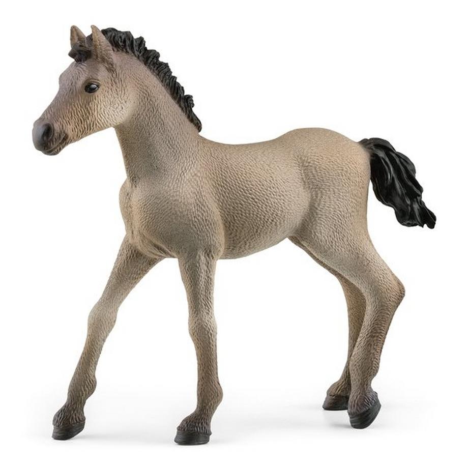 Schleich  13949 Criollo Definitivo Fohlen 
