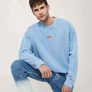 TOMMY JEANS TJM SKATER TIMELESS Sweatshirt 