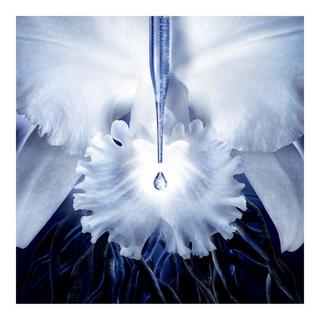 Guerlain Orchidée Impériale La Crème Yeux 