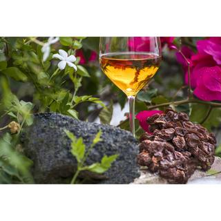 Donnafugata 2018, Marchesa, Etna DOP  