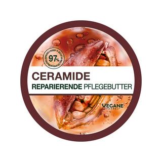 GARNIER  Body Superfood 48H Beurre Réparateur Pour Le Corps [Cacao + Céramides] 