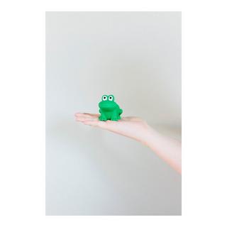 Isabelle Laurier  Badespielzeug Frosch 