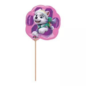 Mini ballon en plastique Sky and Everest