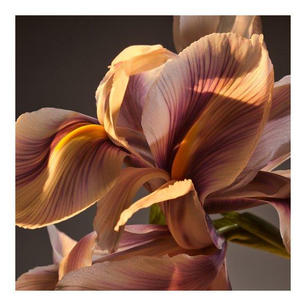 HUGO BOSS Boss Bottled, Parfum  