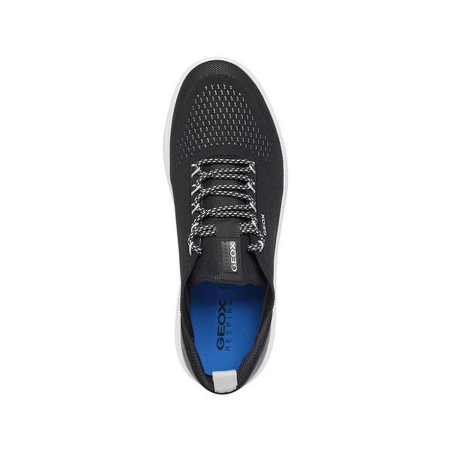 GEOX U SPHERICA A Sneakers basses  