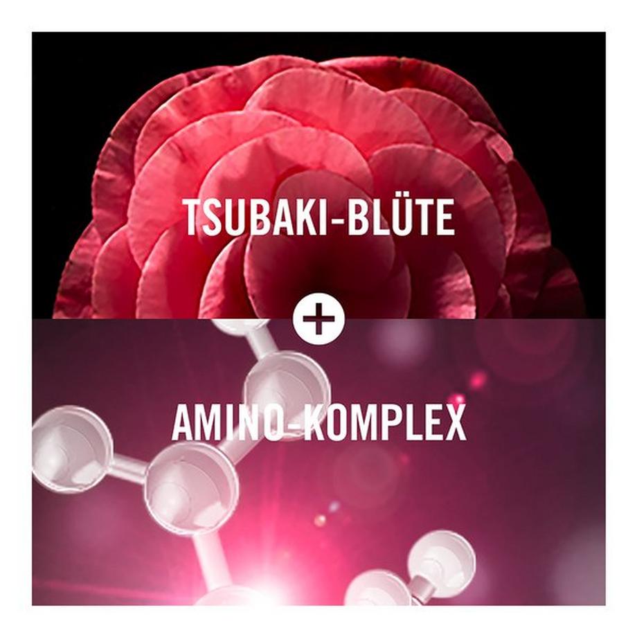 syoss  Shampoo Color 