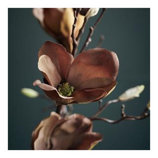 house doctor Fleur artificielle Mangnolia 