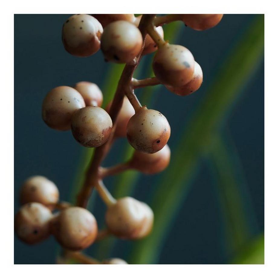 house doctor Fiore artificiale Buckthorn 