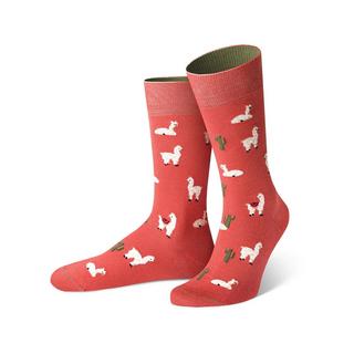 von Jungfeld Lama Chaussettes 