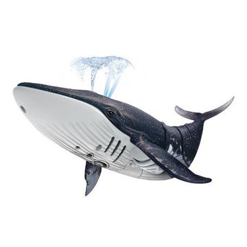 RC Whale