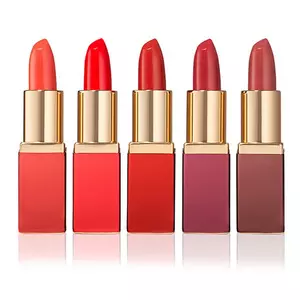 Mini Pure Color Envy Lipstick Collection
