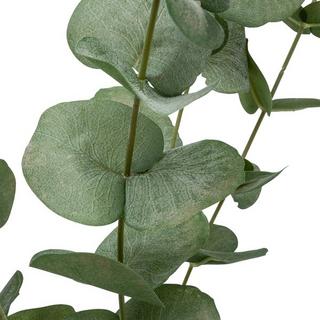 EDG Fleur artificielle Eucalyptus 