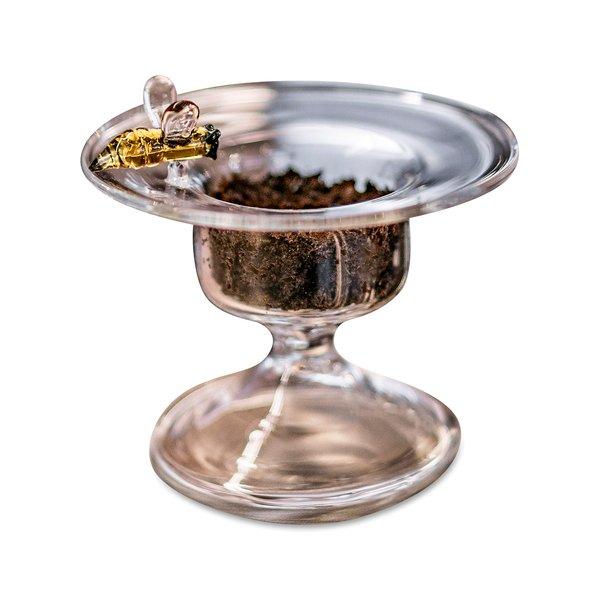 Image of Wespenfalle Wespenfalle