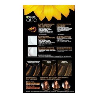 GARNIER HIGHLIGHTS FOR BRUNETTES 395 Olia Highlights für Braunes Haar, mit Blumen-Öle + Tonerde 