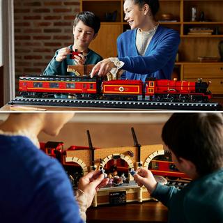 LEGO®  76405 Le Poudlard Express - Edition Collector 