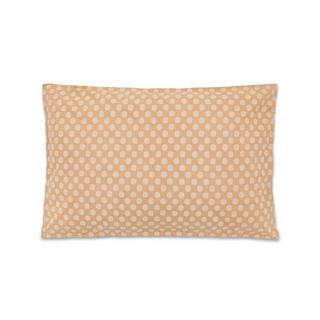 Manor Leonidi Federa a pois  