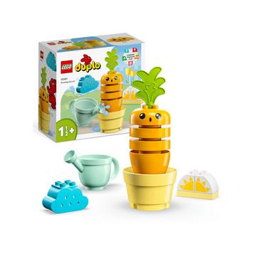 10981 Una carota che cresce