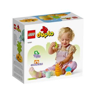 LEGO  10981 Wachsende Karotte 