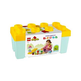 LEGO®  10984 Giardino biologico 