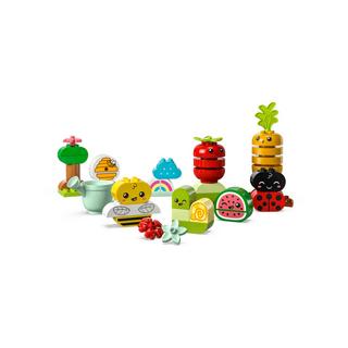 LEGO®  10984  Le jardin bio 
