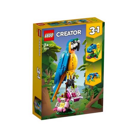 LEGO  31136 Pappagallo esotico 