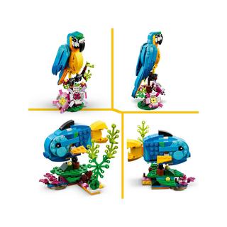 LEGO®  31136 Le perroquet exotique 