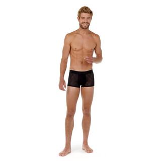 HOM Trunk Kim Boxer 