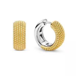 Boucle d'oreille