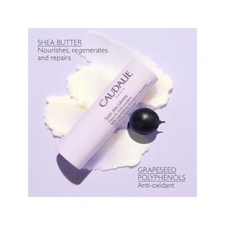 CAUDALIE  Trattamento per le Labbra  