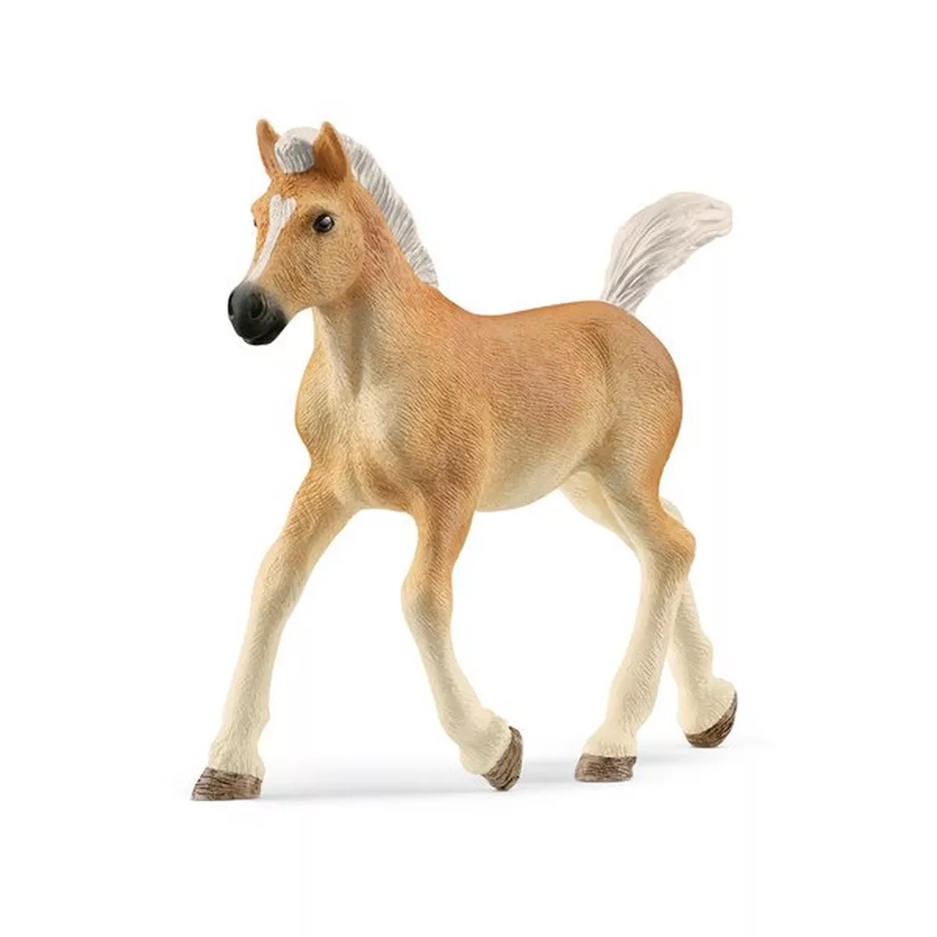 Schleich - 13951 Haflinger Fohlen, Multicolor