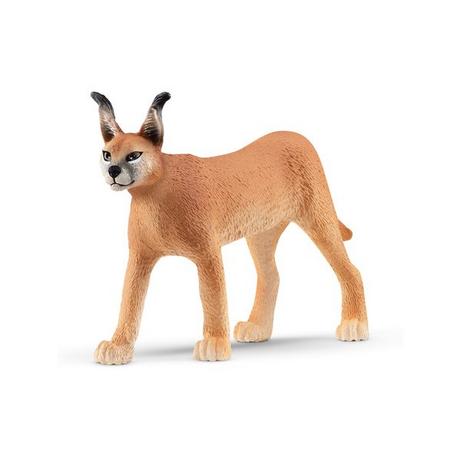 Schleich  14867 Caracal Femmina 