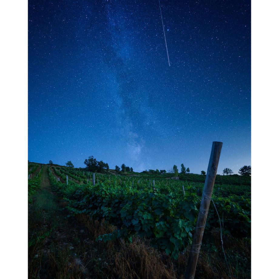 Raúl Pérez 2020, La Poulosa, Bierzo DO  