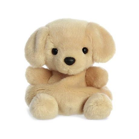 Aurora  Palm Pals Sunny der Labrador 