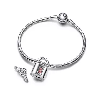PANDORA Pandora Moments Charm 