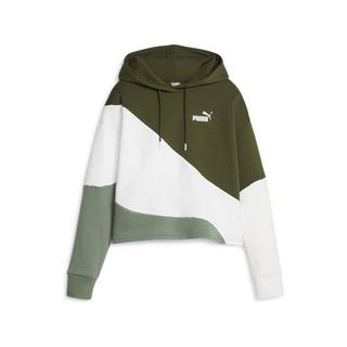 PUMA PUMA POWER Cat Hoodie FL Pantalon de survêtement 