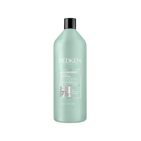 REDKEN  Amino Mint Shampoo 