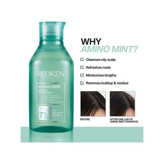 REDKEN  Amino Mint Shampoo 