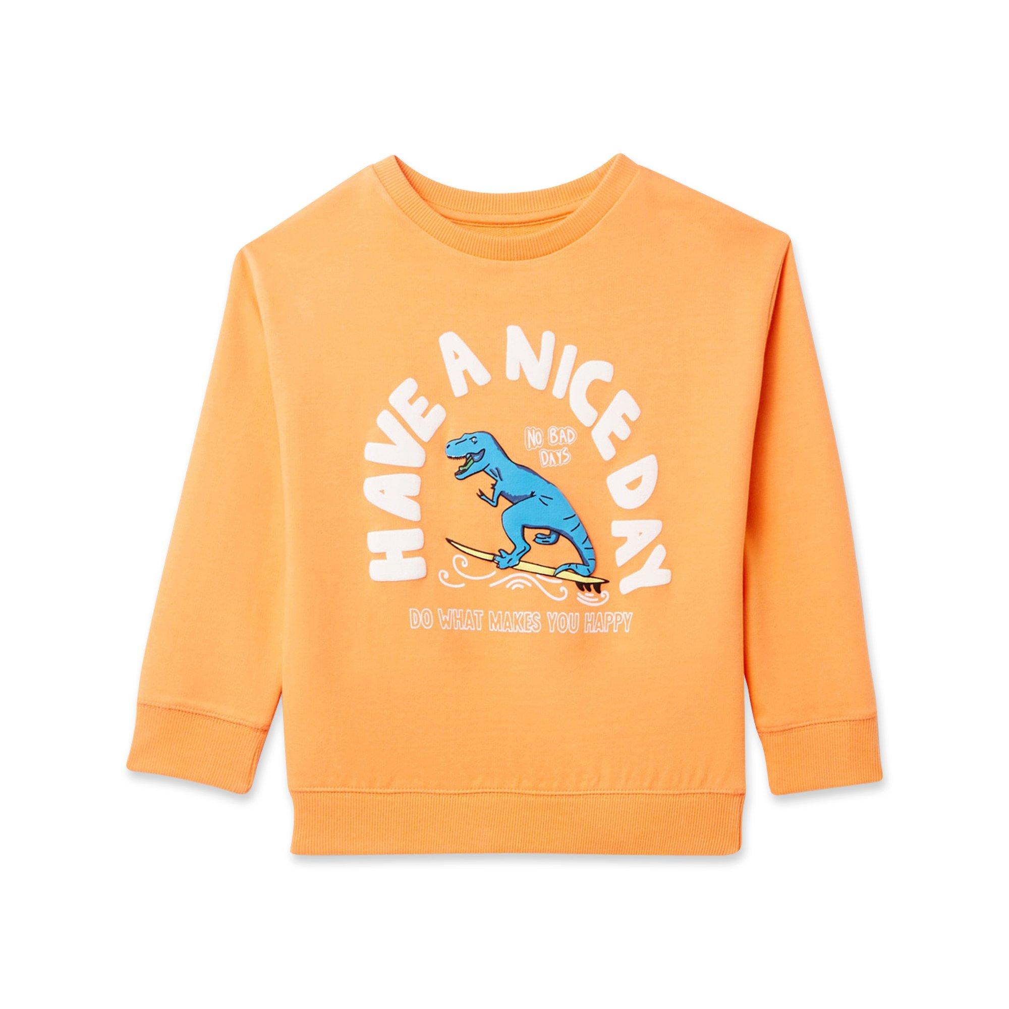 Sfera SUDADERA DINO SURF Sweat-shirt 