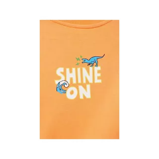 Sfera SUDADERA DINO SURF Sweat-shirt 