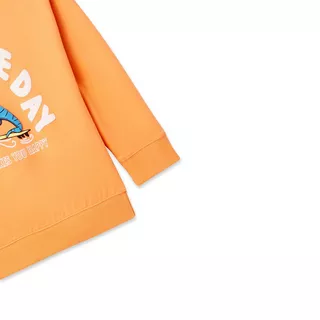 Sfera SUDADERA DINO SURF Sweat-shirt 