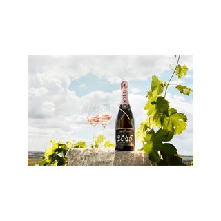 Moët & Chandon Grand Vintage Rosé, Giftbox, Champagne AOC  