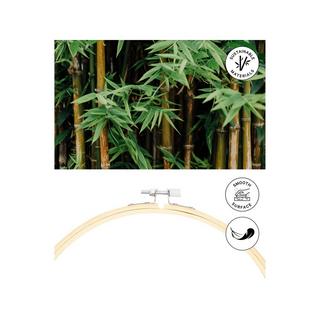 Lalana Kit di ricamo Telaio da ricamo 