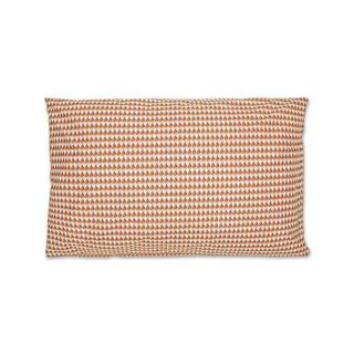 FAZZINI Barcelona Federa a fantasia  