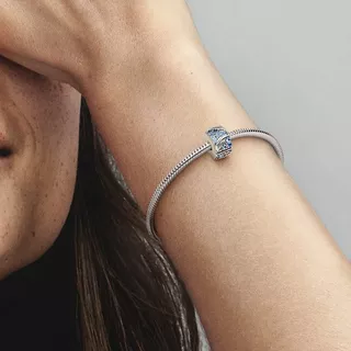 PANDORA Pandora Moments Charm 